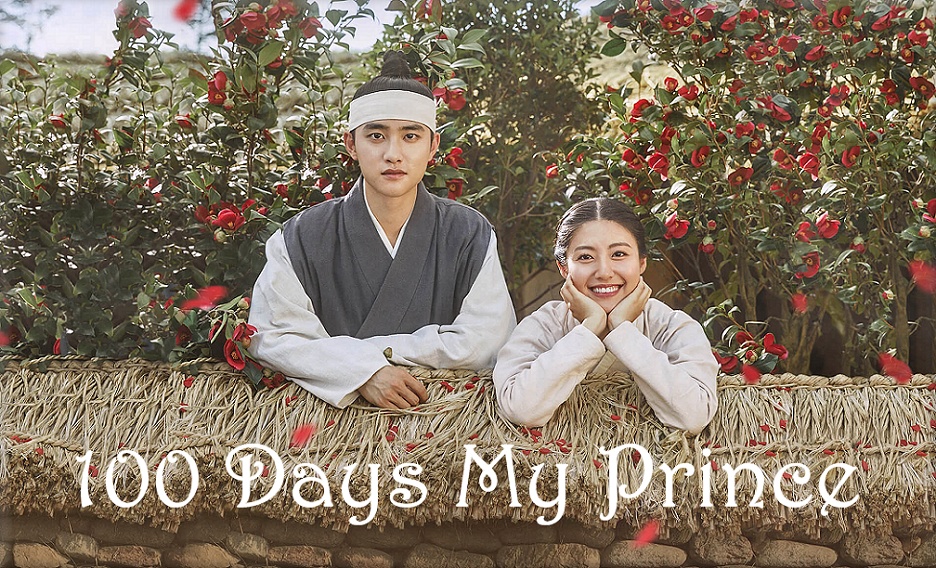100 Days My Prince Review