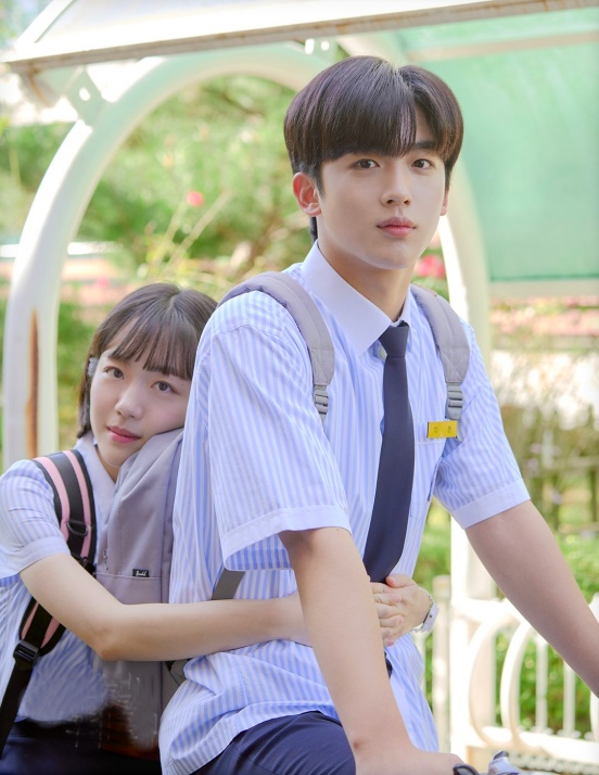 A Love So Beautiful Korean Drama Review